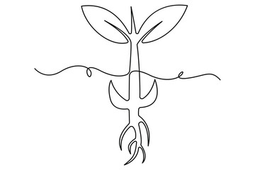 Continuous single line art of seed sprouting and plant growth stages minimalist botanical vector
