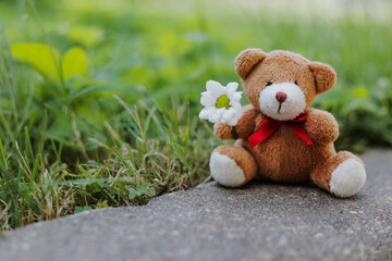 Toy teddy bear with flower. Copy space.