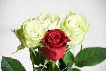 赤と緑のばら