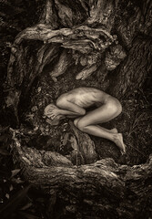Woman in fetal position among tree roots  symbolizing connection with nature and rebirth.