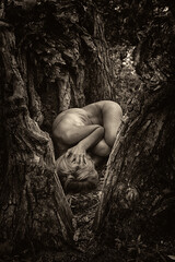 Woman in fetal position among tree roots  symbolizing connection with nature and rebirth.