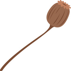 Dried poppy seed pod featuring a slender stem and distinct crown, isolated against a white background. Simple flat vector illustration capturing the essence of a mature brown poppy head