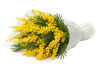A beautiful bouquet of bright yellow mimosa flowers with green foliage wrapped in white paper isolated on transparent background