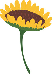 Colorful illustration of a sunflower with long stem bending slightly on white background, representing concepts like nature, summer, and growth