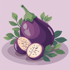 Fresh organic purple eggplant and vegetable vector illustrations