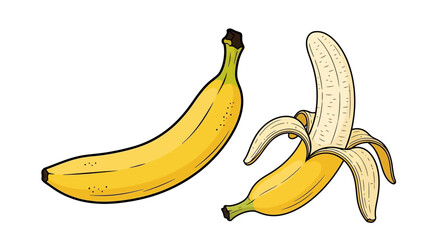 Ripe yellow banana, shown whole and partially peeled. A hand-drawn style vector illustration of a tropical fruit for healthy eating.