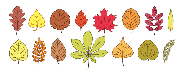 Autumn Forest Leaves Set. Hand Drawn Oak, Maple, Birch, Rowan, Willow, and Elm Foliage. Fall Clipart for Seasonal Decor, Nature Education, Crafts