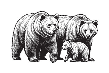 Heartwarming vector illustration of a bear family, ideal for nature and wilderness themes. Wildlife Animals.