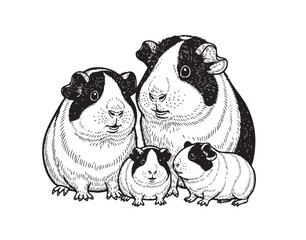 Cute vector illustration of a guinea pig family, perfect for pet and small animal themes.