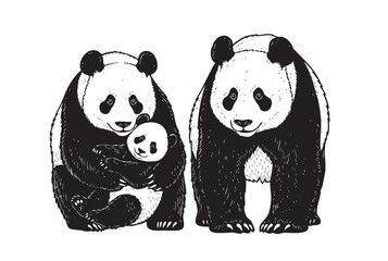 A charming vector illustration of a panda family, perfect for nature and animal themes. Wildlife Animals