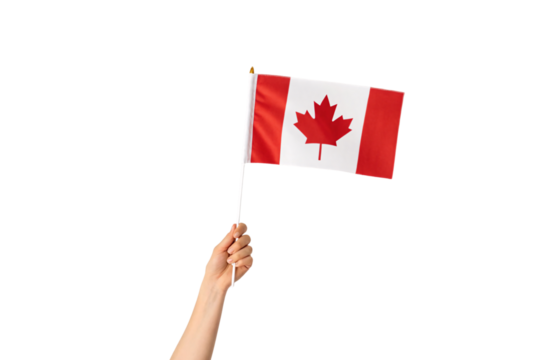 Hand holding small Canadian flag with red maple leaf on white and red vertical stripes, isolated on a transparent background