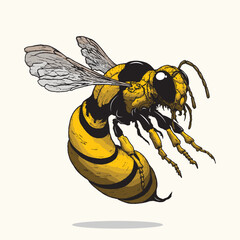 Vector image of an adult bee in flight, white background, suitable for illustration elements about insects.
