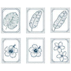 Six tropical leaf and flower postage stamp illustrations in dark blue outline vector
