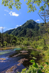 岳沢湿原と六百山を望む清らかな湧水と立ち枯れの木々の風景


