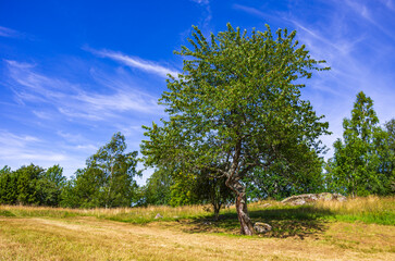Epische Sommerlandschaft, Västergötland, Schweden