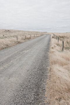 Unmade road with dry, summer grasses and fence line - vertical