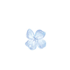 Delicate Blue Flower Watercolor Illustration