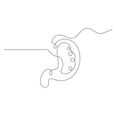 Stomach  icon   continuous one line drawing of outline vector illustration