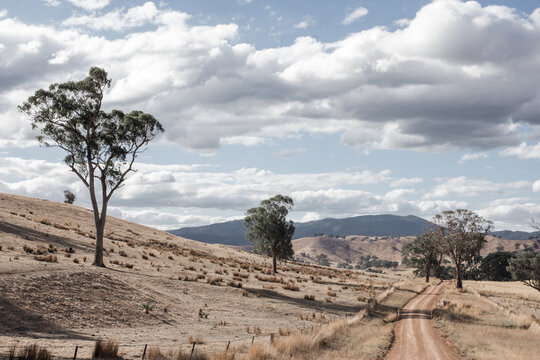 Dirt track with dry paddocks, rolling hills and blue sky with clouds