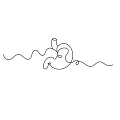 Stomach  icon   continuous one line drawing of outline vector illustration