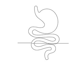Stomach  icon   continuous one line drawing of outline vector illustration