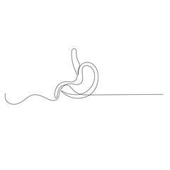 Stomach  icon   continuous one line drawing of outline vector illustration