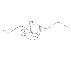 Stomach  icon   continuous one line drawing of outline vector illustration