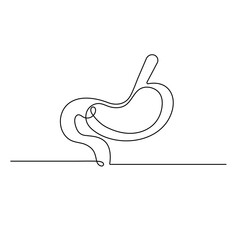 Stomach  icon   continuous one line drawing of outline vector illustration