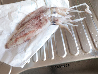 Fresh calamari on paper in kitchen. Food and sustainable seafood.