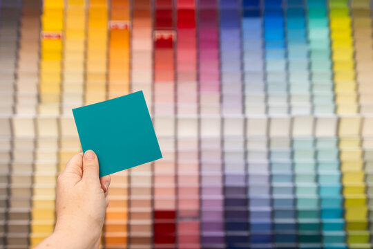 paint sample colour held up in a hardware store