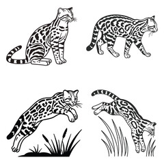 Obraz premium vector illustration of a leopard