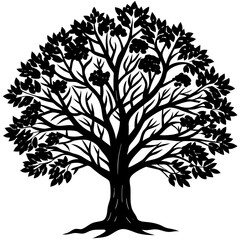 Fototapeta premium Bare Tree Shadow Art