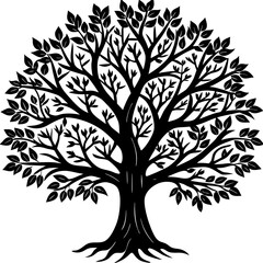 Obraz premium Bare Tree Shadow Art