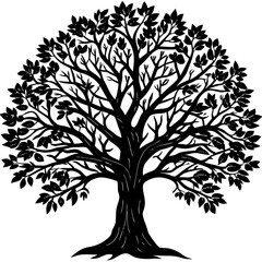 Obraz premium Bare Tree Shadow Art