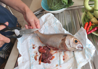 Anonymous gutting fresh fish on paper in kitchen. Food and organic seafood.