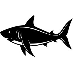 Obraz premium shark vector illustration