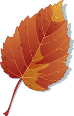 Hand-drawn autumn colored orange maple fall leaf isolated on white background. Flat style vector illustration.