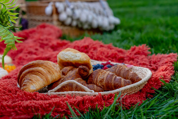 Embrace the Season: A Vibrant Fall Picnic with Cozy Comforts and Colorful Seasonal Delights