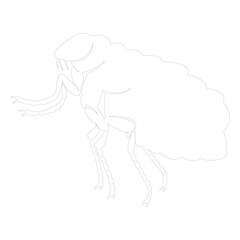Flea silhouette. Pest control services. Insect and flea pest spray symbol, Cat Flea Silhouette, Vector, Illustration, Icon, Logo, White Background.