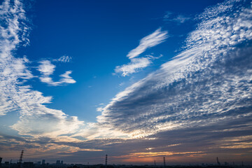 朝陽に輝くうろこ雲