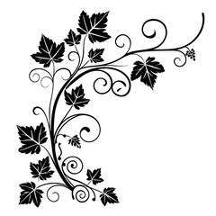 Elegant black vine flourish with leaves and grapes adds decorative charm to any design project