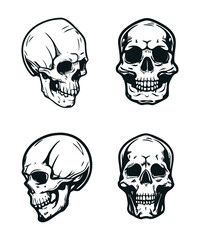 Collection of Hand-Drawn Skull Illustration Sets
