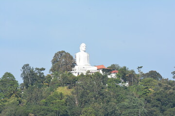 statue of buddha long view
