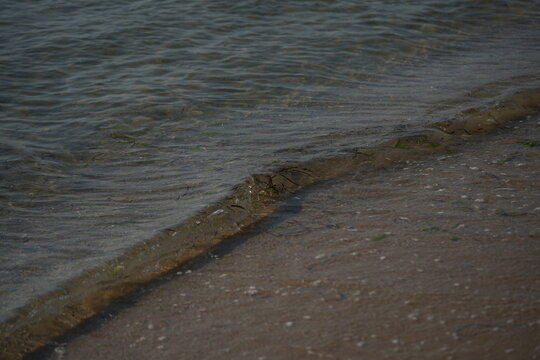 sea shore with wave breaking on the beach gentle sea wave breaking on a sandy shoreline. peaceful coastal scene with soft water movement and natural textures. perfect for themes of relaxation