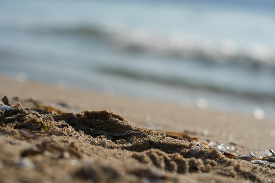 sea shore with wave breaking on the beach gentle sea wave breaking on a sandy shoreline. peaceful coastal scene with soft water movement and natural textures. perfect for themes of relaxation