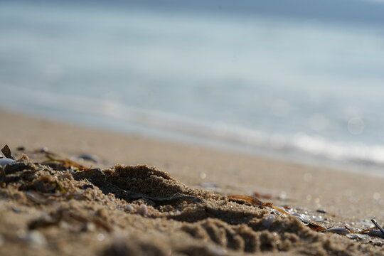 sea shore with wave breaking on the beach gentle sea wave breaking on a sandy shoreline. peaceful coastal scene with soft water movement and natural textures. perfect for themes of relaxation