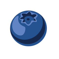 Single Blue Berry blueberry fruit