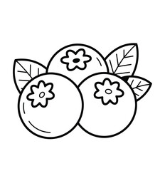 Three round blueberries with leaves fruit black and white