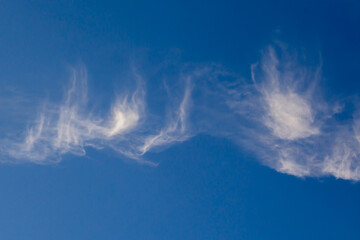 Delikatne chmury pierzaste typu cirrus na czystym, błękitnym niebie. Naturalne tło symbolizujące spokój, pogodę i czyste powietrze. © Henryk Guziak