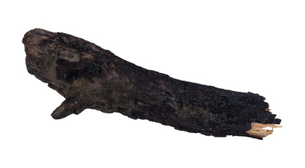 burned wooden pieces are isolated against a white background